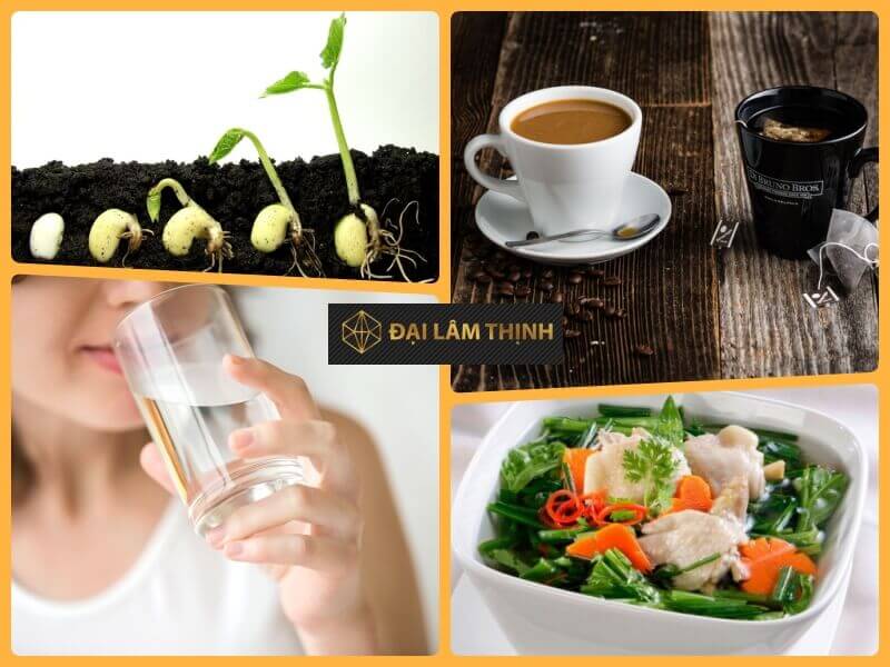 [Giải Đáp] Máy lọc nước kangen có tốt không? Liệu đắt có xắt ra miếng?