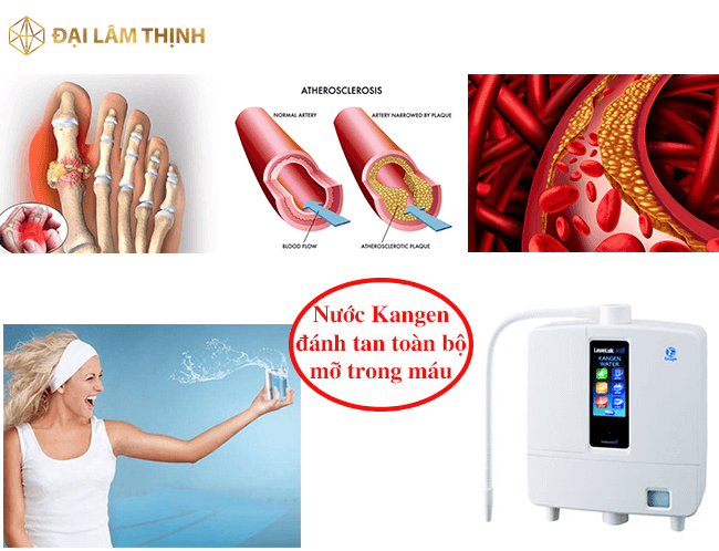 Nước ion kiềm có khả năng đánh tan mỡ trong máu giúp lưu thông khí huyết